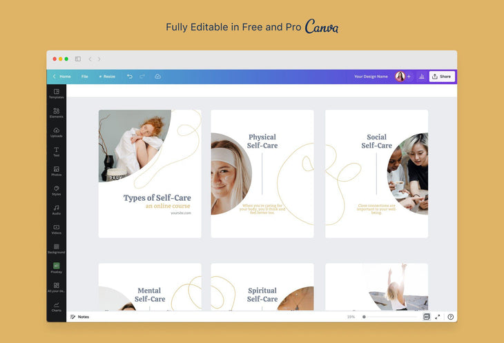 Ladystrategist Addison Educational 6-Page Carousel Canva Template instagram canva templates social media templates etsy free canva templates