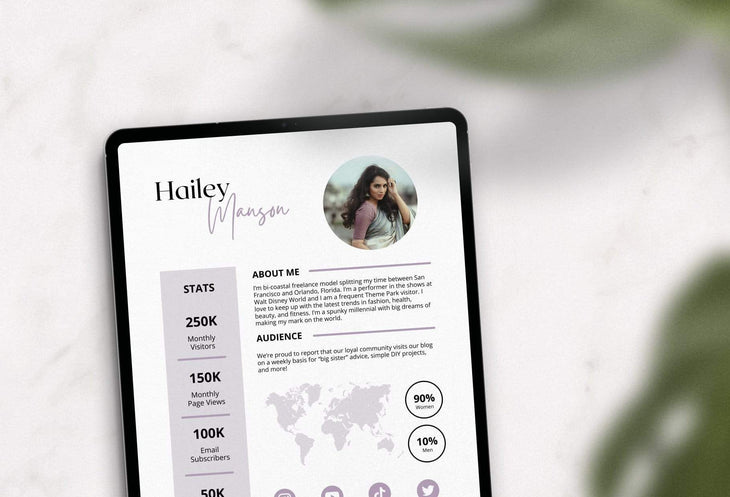 Ladystrategist Hailey Manson Media Kit Canva Template for Influencers instagram canva templates social media templates etsy free canva templates