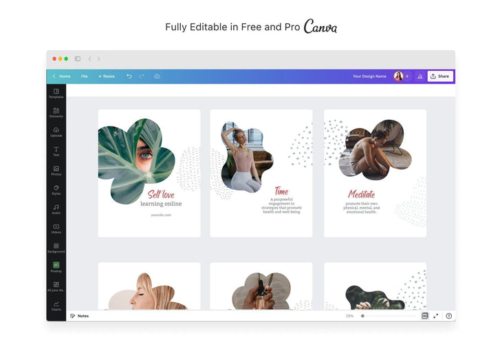 Ladystrategist Lilian Educational 6-Page Carousel Canva Template instagram canva templates social media templates etsy free canva templates