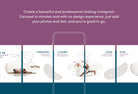 Ladystrategist Nova Fitness 6-Page Carousel Canva Template instagram canva templates social media templates etsy free canva templates