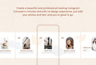 Ladystrategist Willow Educational 6-Page Carousel Canva Template instagram canva templates social media templates etsy free canva templates